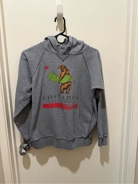 Costa Gray Hoodie with Green Bear Graphic and Red Accents